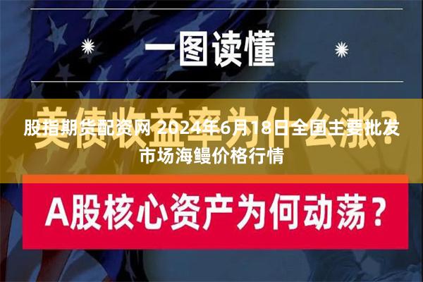 股指期货配资网 2024年6月18日全国主要批发市场海鳗价格行情