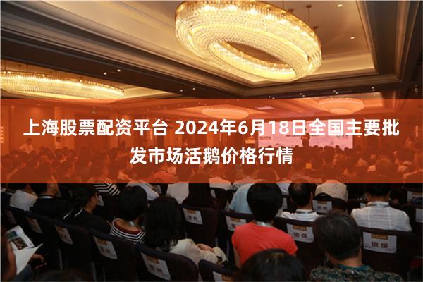 上海股票配资平台 2024年6月18日全国主要批发市场活鹅价格行情