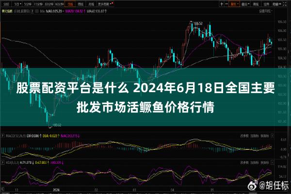 股票配资平台是什么 2024年6月18日全国主要批发市场活鳜鱼价格行情