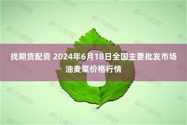 找期货配资 2024年6月18日全国主要批发市场油麦菜价格行情