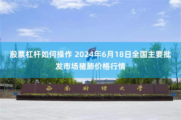 股票杠杆如何操作 2024年6月18日全国主要批发市场猪肺价格行情