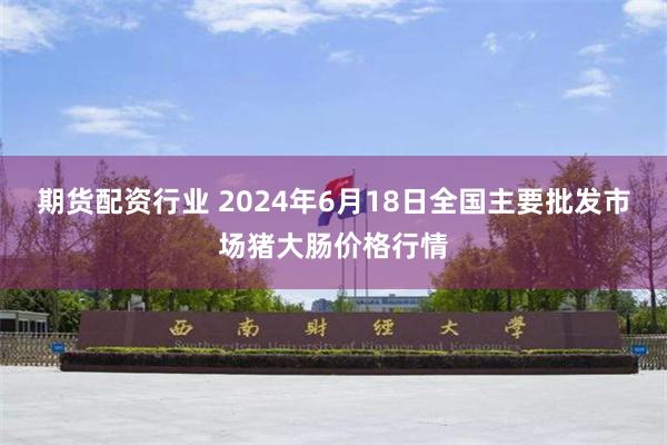 期货配资行业 2024年6月18日全国主要批发市场猪大肠价格行情