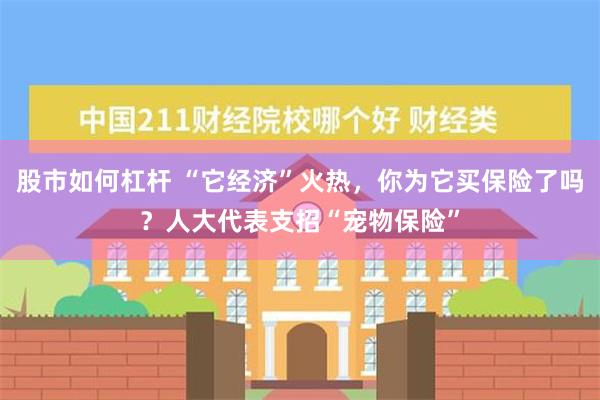 股市如何杠杆 “它经济”火热，你为它买保险了吗？人大代表支招“宠物保险”