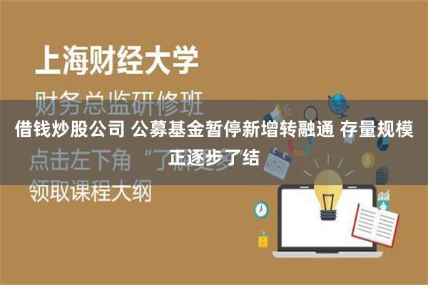 借钱炒股公司 公募基金暂停新增转融通 存量规模正逐步了结