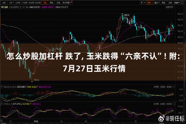 怎么炒股加杠杆 跌了, 玉米跌得“六亲不认”! 附: 7月27日玉米行情