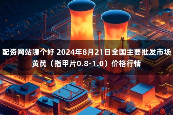 配资网站哪个好 2024年8月21日全国主要批发市场黄芪（指甲片0.8-1.0）价格行情