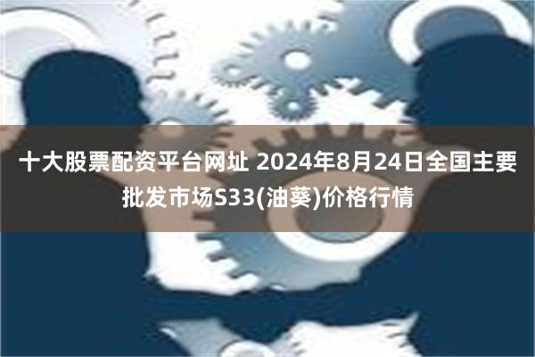 十大股票配资平台网址 2024年8月24日全国主要批发市场S33(油葵)价格行情