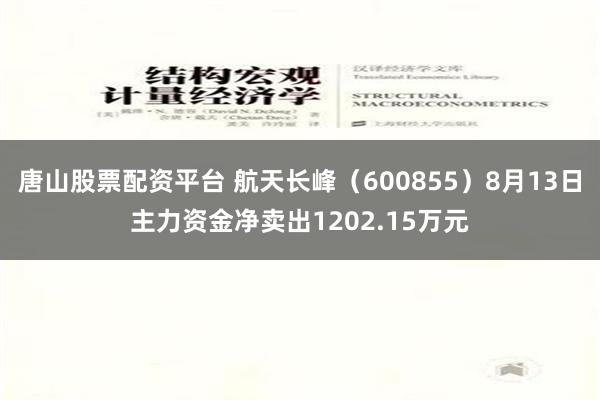 唐山股票配资平台 航天长峰（600855）8月13日主力资金净卖出1202.15万元