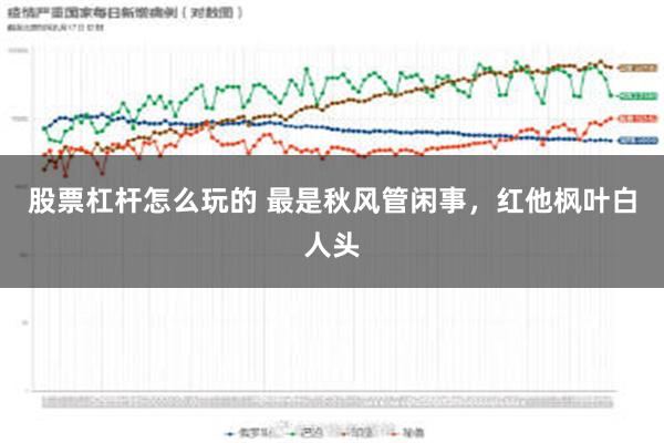 股票杠杆怎么玩的 最是秋风管闲事，红他枫叶白人头