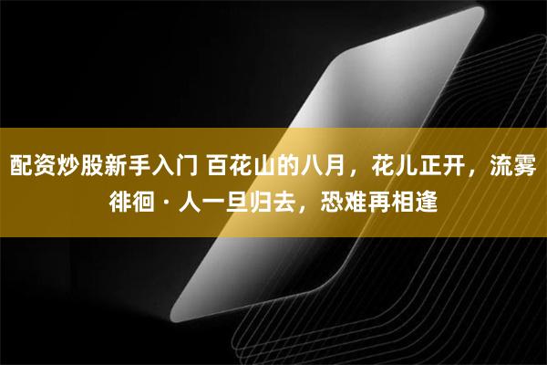 配资炒股新手入门 百花山的八月，花儿正开，流雾徘徊 · 人一旦归去，恐难再相逢