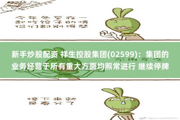 新手炒股配资 祥生控股集团(02599)：集团的业务经营于所有重大方面均照常进行 继续停牌