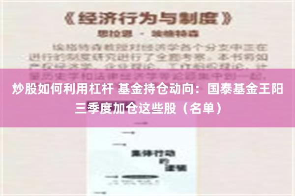 炒股如何利用杠杆 基金持仓动向：国泰基金王阳三季度加仓这些股（名单）