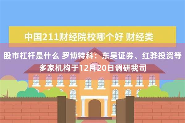 股市杠杆是什么 罗博特科：东吴证券、红骅投资等多家机构于12月20日调研我司