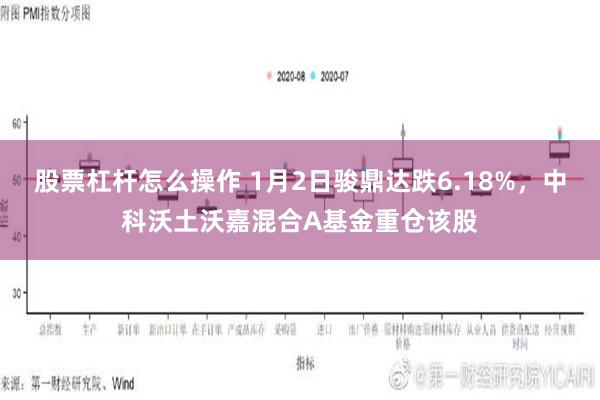 股票杠杆怎么操作 1月2日骏鼎达跌6.18%，中科沃土沃嘉混合A基金重仓该股