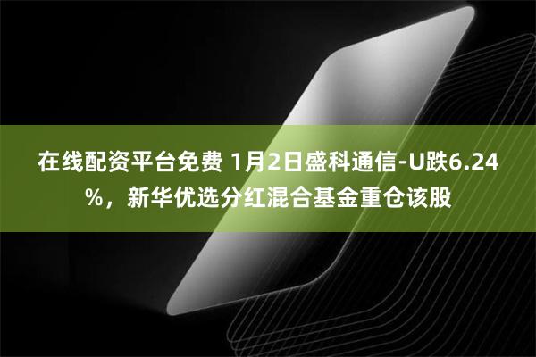 在线配资平台免费 1月2日盛科通信-U跌6.24%，新华优选分红混合基金重仓该股