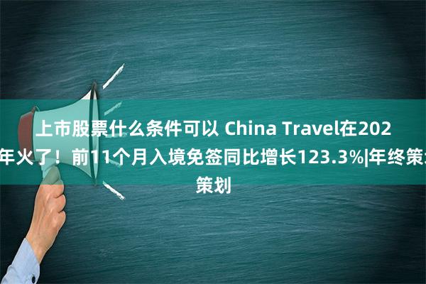 上市股票什么条件可以 China Travel在2024年火了！前11个月入境免签同比增长123.3%|年终策划