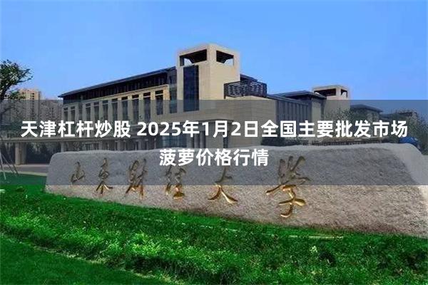 天津杠杆炒股 2025年1月2日全国主要批发市场菠萝价格行情