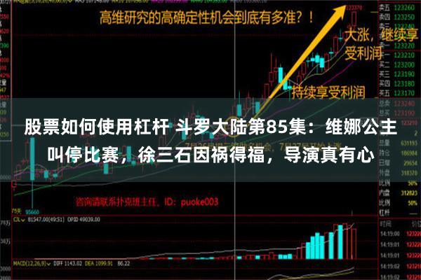 股票如何使用杠杆 斗罗大陆第85集：维娜公主叫停比赛，徐三石因祸得福，导演真有心