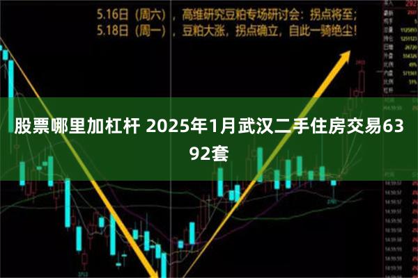 股票哪里加杠杆 2025年1月武汉二手住房交易6392套